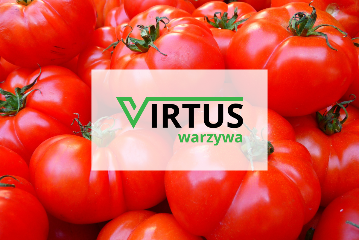 Virtus