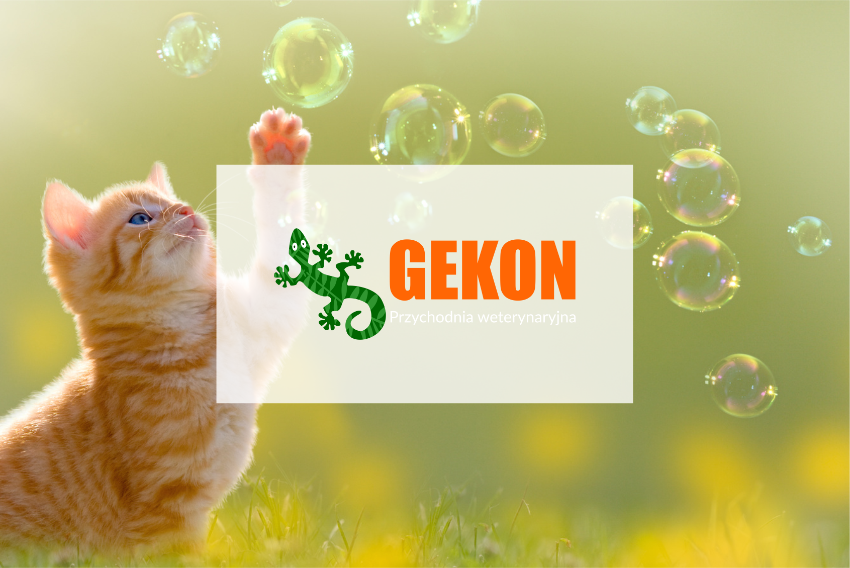 Gekon